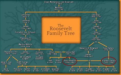 Roosevelt Family Tree