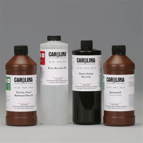 Gram Stain Kit, Large | Carolina Biological Supply