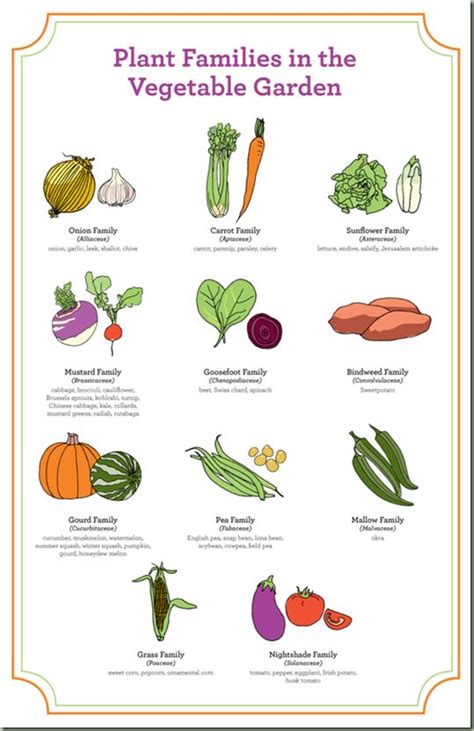 Plant families -- Helpful guide for determining what to plant where ...