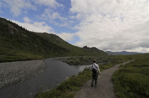 Hiking Denali National Park - michaelsulock.com