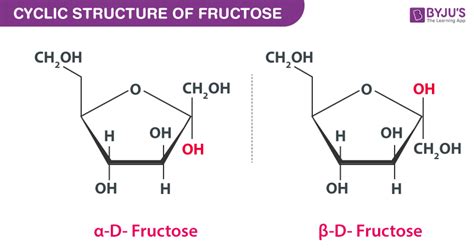 4 FRUCTOSE RING STRUCTURE AT EQUILIBRIUM - StructureofFructose3