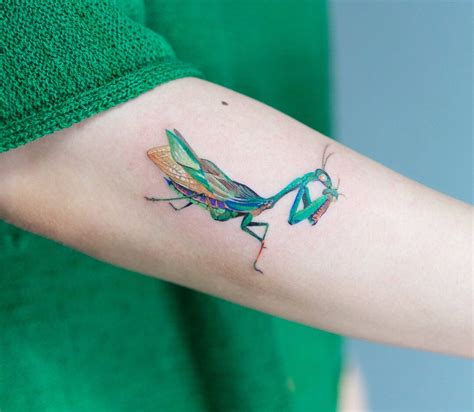 Photo - Mantis tattoo by Zihee Tattoo | Photo 27355 | Mantis tattoo ...