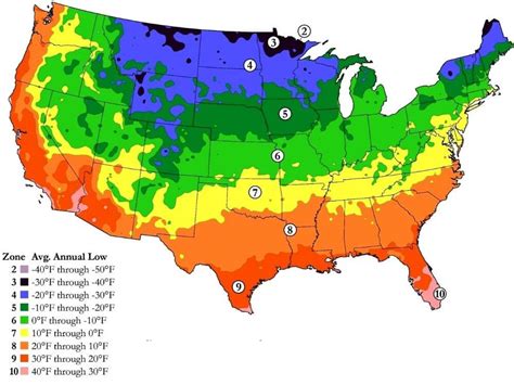 Here is the BEST Time to Plant Mint in Hardiness Zone 3 (2023) - The ...