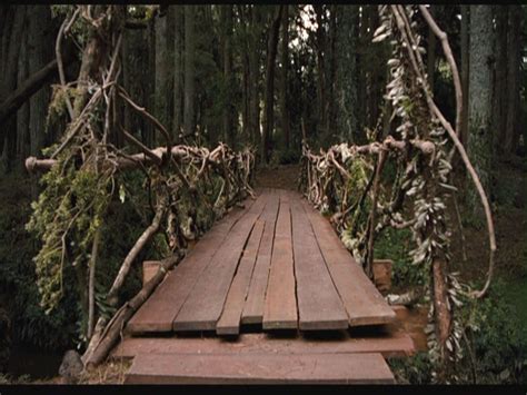 The Bridge | Bridge to Terabithia Wiki | Fandom