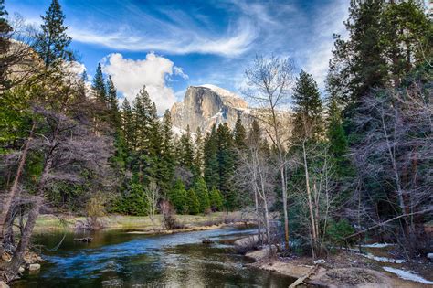 Feds: Drought killed 66 million trees in the Sierra Nevada forests