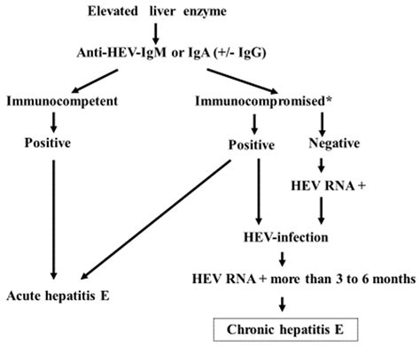 Microorganisms | Free Full-Text | The Diagnosis, Pathophysiology, and ...