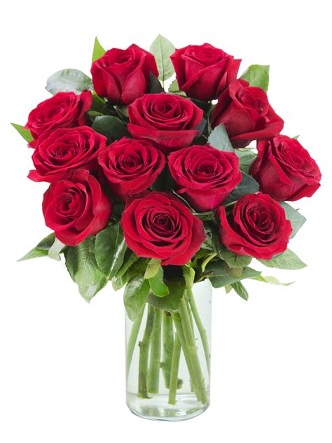 Arabella Farm Direct Bouquet of 12 Fresh Cut Red Roses With Vase ...