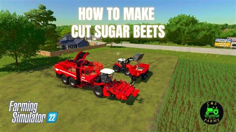 How To Make Cut Sugar Beets In Farming Simulator 22 - YouTube