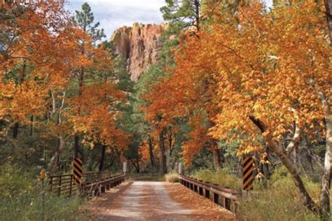 Fall colors in Arizona? Yep! - Crystal Creek Builders | Prescott Home ...