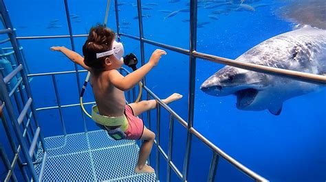 5 YR OLD Scuba Dives with GREAT WHITE SHARKS in Mexico!! - YouTube