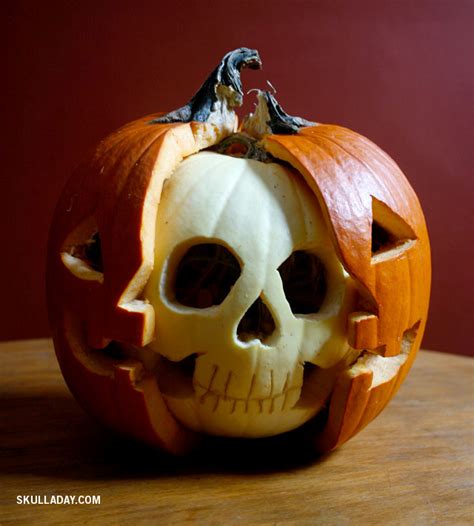 [BONUS] 382. Pumpkin Anatomy Skull