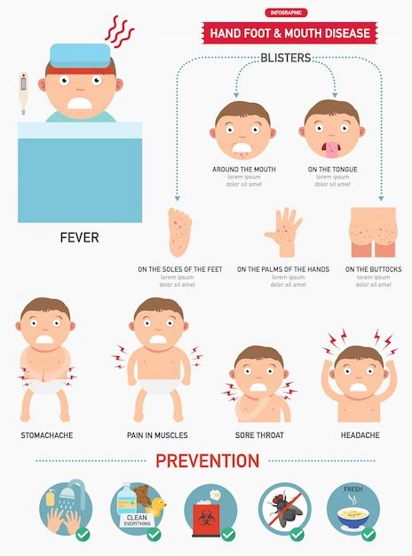 Infographie De La Maladie Main-pied-bouche | Vecteur Premium