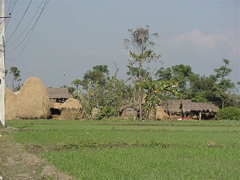 Terai - Alchetron, The Free Social Encyclopedia