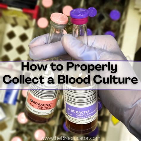 How to Properly Collect a Blood Culture - The RN Educator