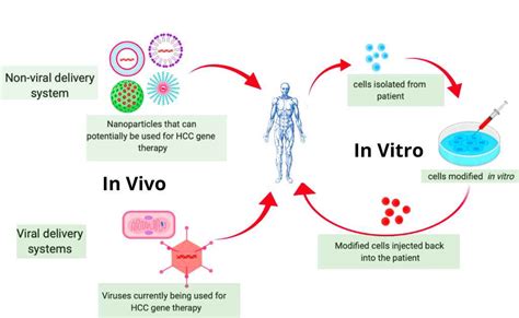 What is Gene Therapy?-Definition, Types, and Mechanism