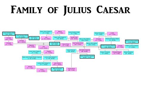 24x36 gallery poster, Family of Julius Caesar, Julio-Claudian family ...