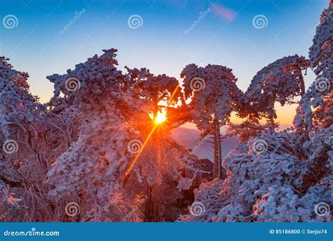 Winter Sunrise Landscape in Huangshan National Park. Stock Photo ...