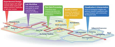 Analysis Guides - 10x Genomics