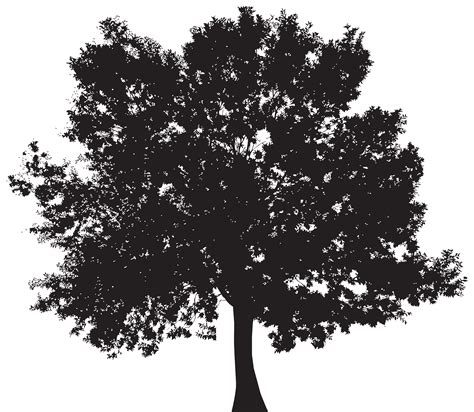 Onlinelabels Clip Art Detailed Large Oak Tree Silhouette | Images and ...