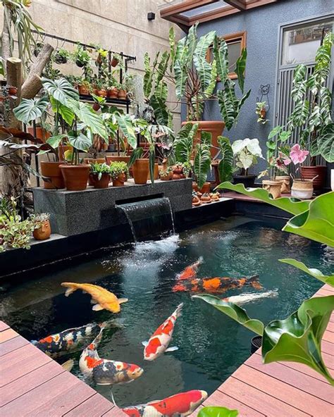 20 Modern Koi Fish Pond Design For Narrow Space | Housetodecor.com