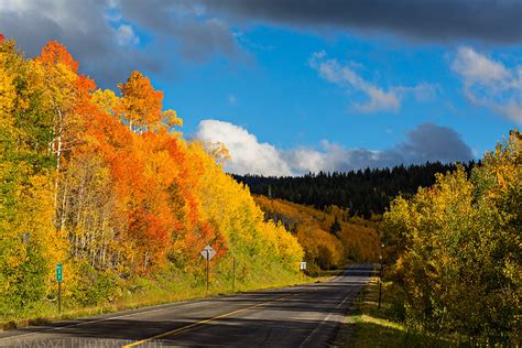 Grand Mesa Fall Colors // ADVENTR.co