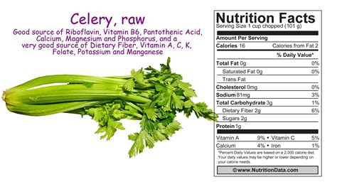 Celery Nutrition Facts And | lupon.gov.ph