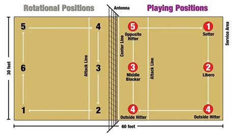 6 Volleyball Positions And Player Roles Explained – NBKomputer