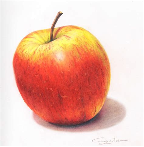 How to Draw a Juicy Apple using Coloured Pencil