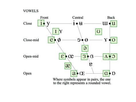 Understanding The Ipa Vowel Sounds Chart Vowels Sounds Chart Vowel ...