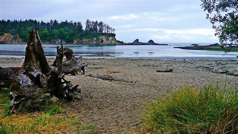 Top 15 Beaches In Oregon Marked By Spectacular Coastline: TripHobo