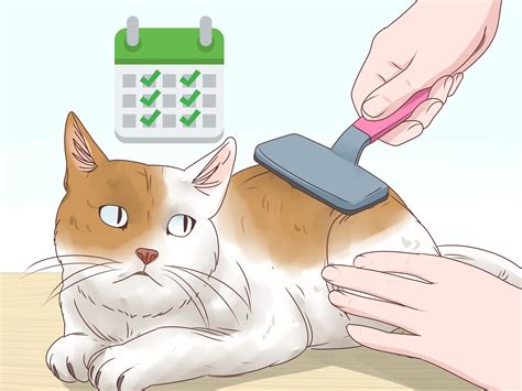 5 Ways to Help a Cat Cough Up a Hairball - wikiHow