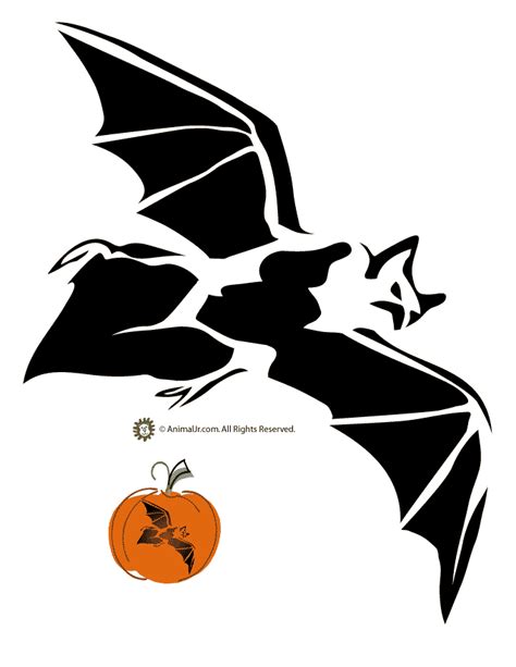 Halloween Bat Pumpkin Stencil - Woo! Jr. Kids Activities