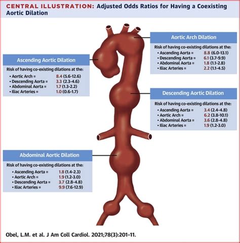 Population-Based Risk Factors for Ascending, Arch, Descending, and ...