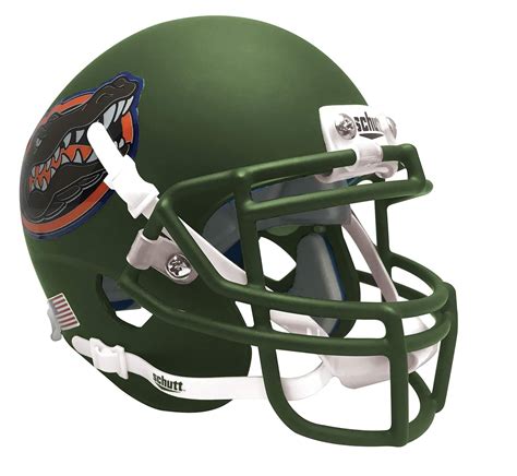 Buy Schutt NCAA Florida Gators Mini Authentic XP Football Helmet, Swamp ...