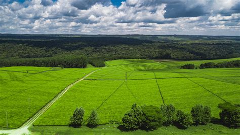 Kericho from above - HapaKenya