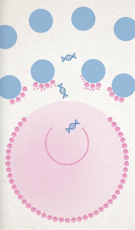 Science-U @ Home / Strawberry DNA Experiment