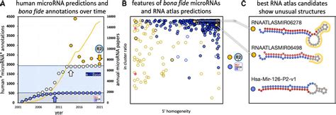 The limits of human microRNA annotation have been met