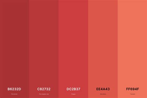 25+ Best Coral Color Palettes with Names and Hex Codes – CreativeBooster