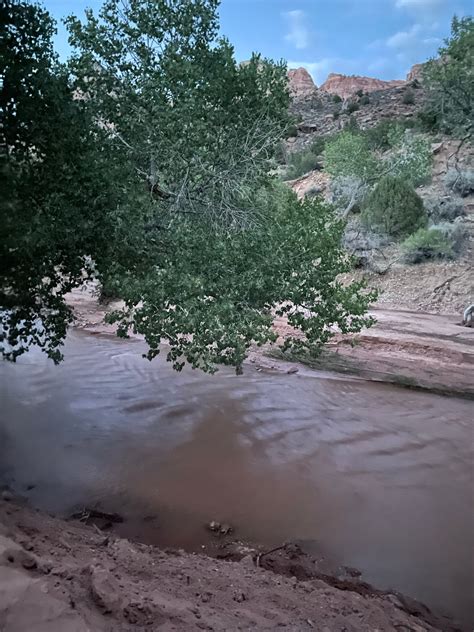 Zion Canyon Campground | The Dyrt