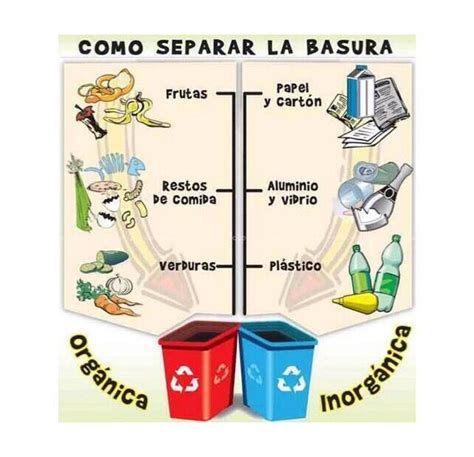 Cómo separar la basura orgánica e inorgánica en casa - [2024 ]