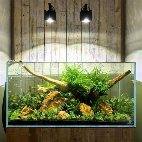 How to Adjust the Lighting for Your Fish Tank - Aquarium Lighting Guide ...