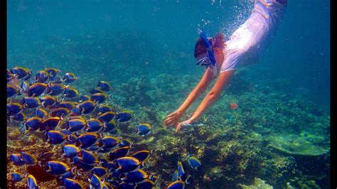 Experience snorkeling while traveling Maldives | snorkeling-guadeloupe.com