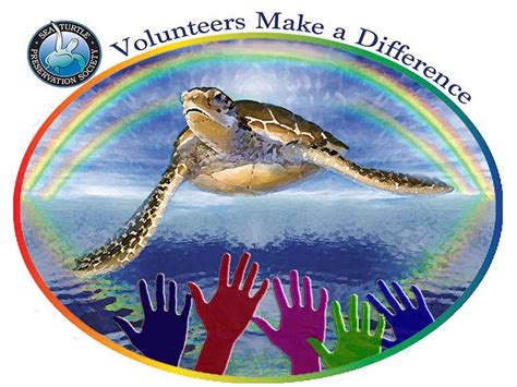 Volunteer Information – Sea Turtle Preservation Society