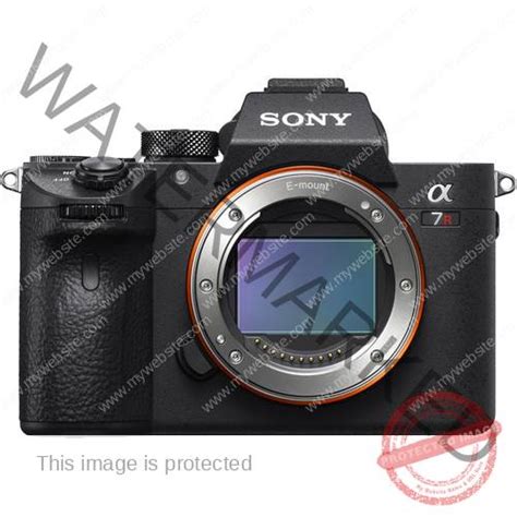 Best Lenses for Sony a7 III & a7R III | Sony Camera Rumors