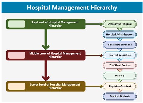 Hospital Organizational Chart Explained With Examples Edrawmax Online ...