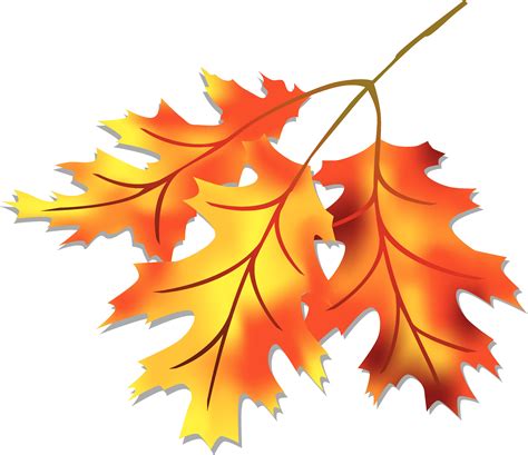 Leaf fall leaves clipart free clipart images clipartix – Clipartix