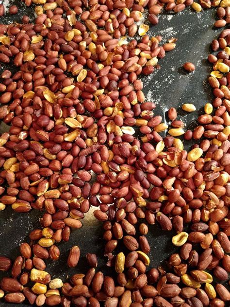 Basic Oven Roasted Peanuts Recipe - Peanuts 101