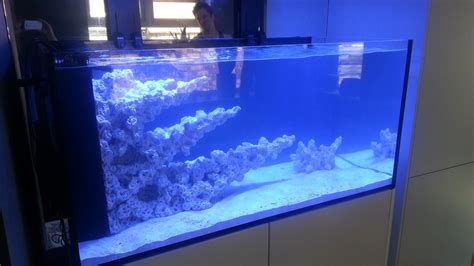 Reef Tank Aquascapes - custom built by R&R Aquascapes, UK Marine ...