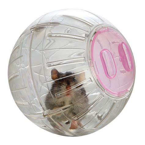 Marukan Hamster Play Ball Small 12cm (ML113) | Starpet – Distributor of ...