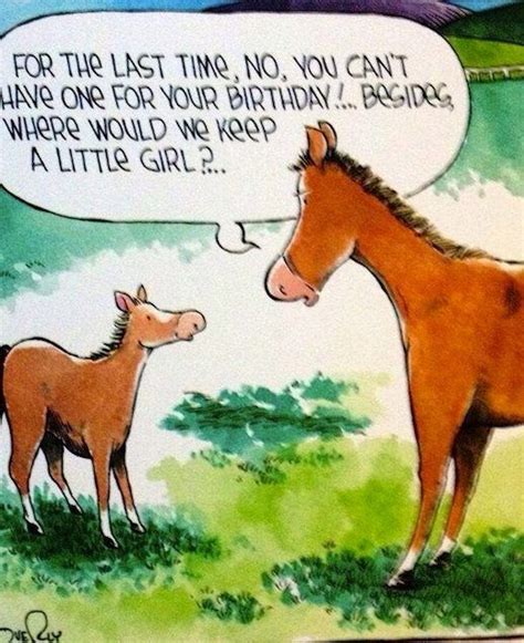 Girls and horses | Horse quotes funny, Horse jokes, Funny horse memes